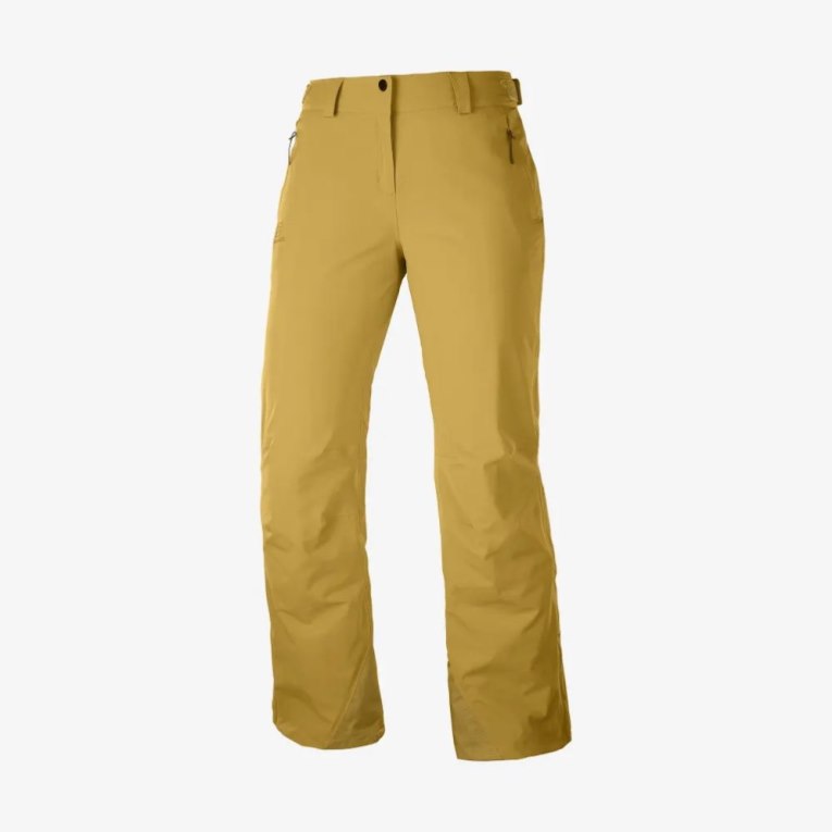 Brown Salomon The Brilliant Women's Ski Pants | PH 49867N